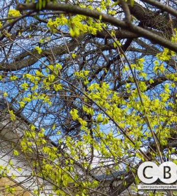 Останній день березня у Кропивницькому (фоторепортаж)