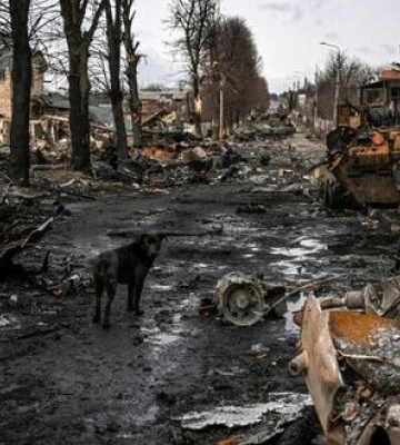 За час окупації Бучанського району російські військові вчинили понад 9000 воєнних злочинів, - Офіс Генпрокурора