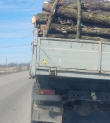 На Рівненщині зупинили водія, який віз незаконну деревину