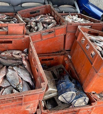 На Полтавщині поліцейські зупинили водія, який перевозив 320 кілограмів риби без документів