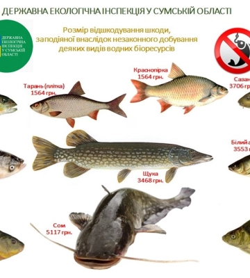 Завтра на Сумщині починається операція «Нерест»
