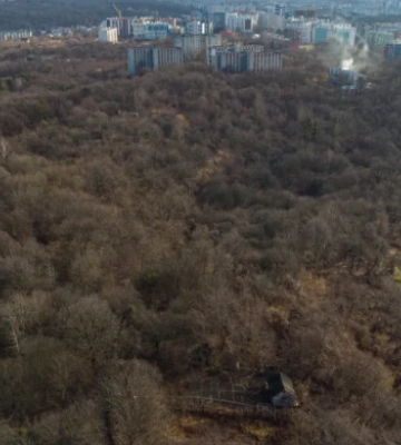 24 га зеленої зони у Львові забудують багатоквартирними будинками: як отримали землю і хто в схемі
