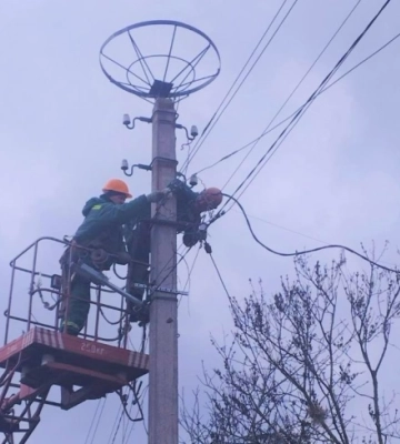 В області електрики роблять безпечні гнізда для лелек