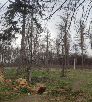 Під загрозою зникнення: у Вінниці гине парк, якому понад 200 років