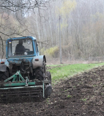 Недосконале українське лісове законодавство підтримує зловживання у галузі