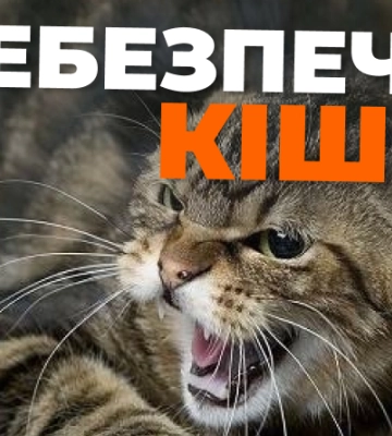 Могло закінчитися фатально: на Одещині кішка ледь не вбила господарку