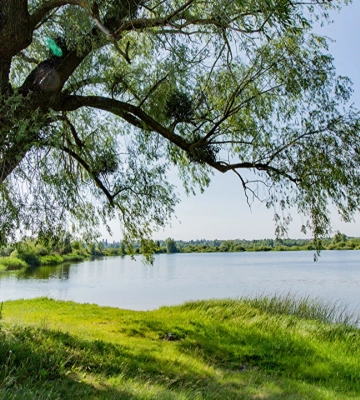 Благоустрій річок і водойм, озеленення і вивезення мулу: як у Луцьку дбатимуть про довкілля