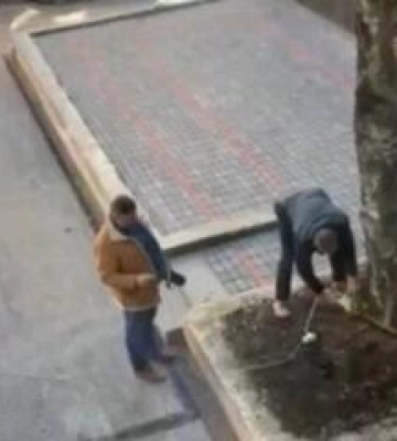 Поліція відкрила кримінальне провадження за фактом пошкодження дерев у Полтаві