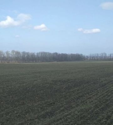 На Сумщині бракує трактористів і машиністів для посівної