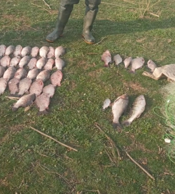 На озері в Одеській області спіймали браконьєра
