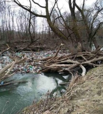 Закарпаття: Почали розчищати русла річок від сміттєвих заторів
