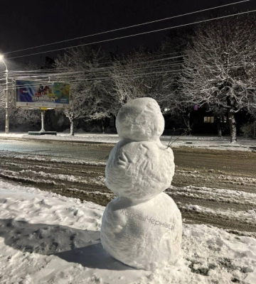 Чернівці замело снігом