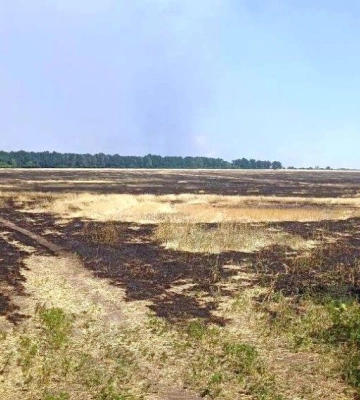 Через високу замінованість с/г земель Херсонщина сіятись не буде