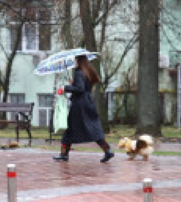 Сегодня в Киеве почти весь день будет дождь