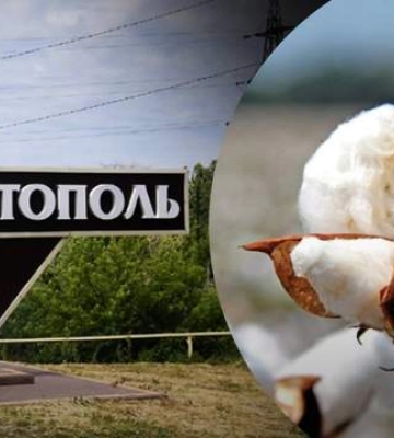 З&#039;їхалися ледь не всі швидкі в місті: у Мелітополі &quot;зацвіла свіжа бавовна&quot;