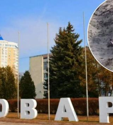 Большинство могил – безымянные: появились жуткие кадры массового захоронения за Броварами