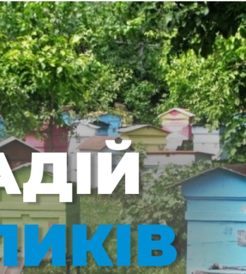 На Одещині рій бджіл покусав грабіжника, завадивши йому викрасти вулики