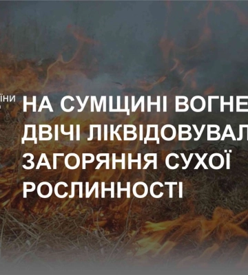 На Сумщині під час спалювання сухої рослинності загинув пенсіонер