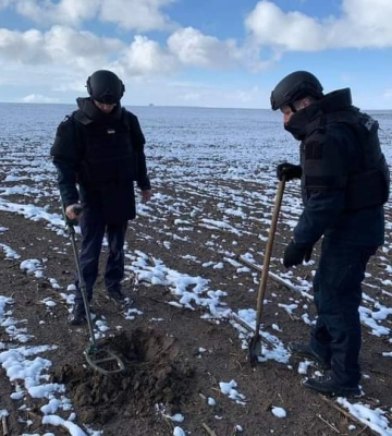 На Волині чоловік нарубав дерев на 400 тисяч гривень