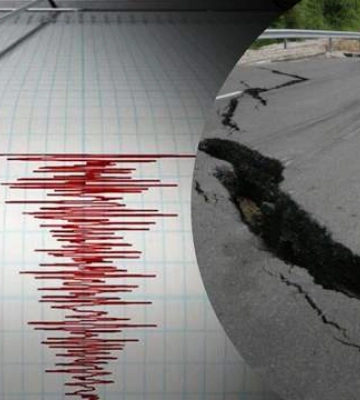 На Закарпатті стався землетрус: чи є загроза для людей