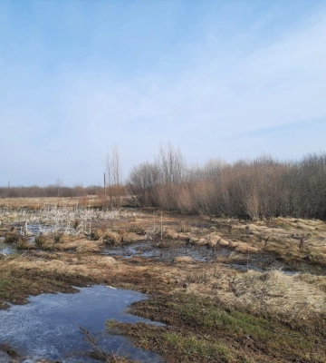 У місті на Волині віддають в оренду 40 га комунальної землі