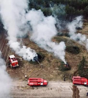 У Висоцькому лісництві сьогодні гасили лісові пожежі