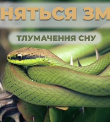 До чого сняться змії: тлумачення сну