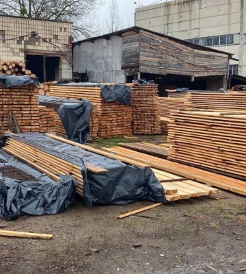 Нєбитов показав на відео викриття нелегальної вирубки та збуту деревини: збитки на 4 млн.