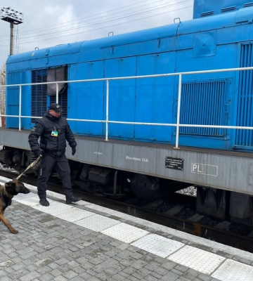 Потягом до Варшави: Україна відновлює залізничний пункт пропуску Рава-Руська