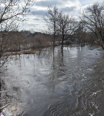 Як вберегтись від захворювань, що передаються водним шляхом: поради українцям