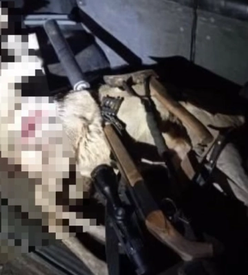 На Рівненщині затримали двох браконьєрів, які вбили косулю