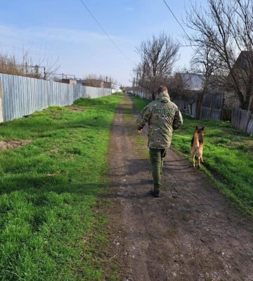 На Дніпропетровщині пес за лічені години знайшов злочинця