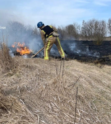 За минулу добу вогнеборці Сумщини 11 разів ліквідовували загоряння на відкритих територіях