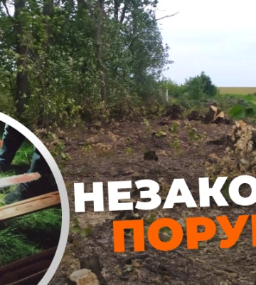 Збитки державі у майже 4 млн грн: поліція повідомила про підозру фігуранту, причетному до порубки деревини
