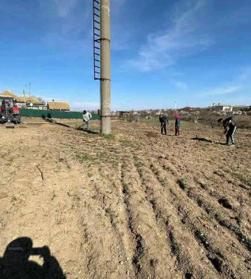 На півдні Одеської області з’явиться сад із незвичайних дерев