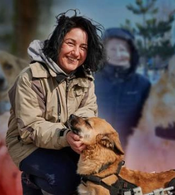 "Щодня боялася, що доведеться ховати тварин": історія окупації та відновлення притулку "Сіріус"