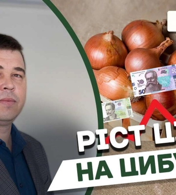 Чи зросте ціна на цибулю у Дніпрі до 200 гривень за кілограм (Відео)
