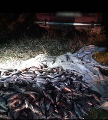 У Кременчуцькому районі поліцейські виявили ВАЗ 21061 із повним багажником риби