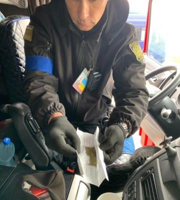 Пограничный пес не дал дальнобойщику выехать из Одесской области с каннабисом