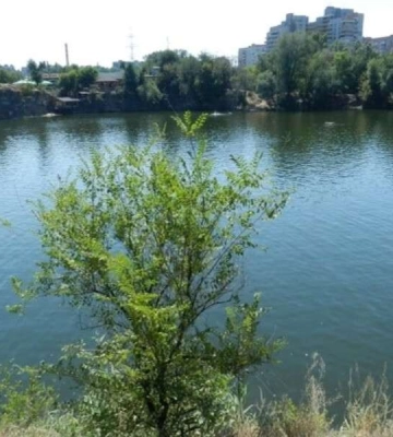 Як у Дніпрі виглядав кар&#039;єр на Червоному Камені 60 років тому. Рідкісна світлина 