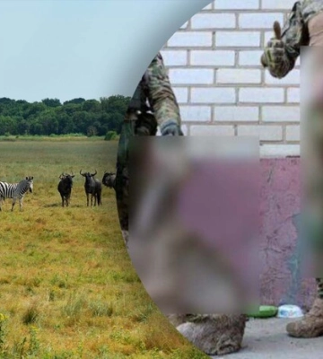 Окупанти вбили червонокнижних тварин у заповіднику Асканія-Нова 