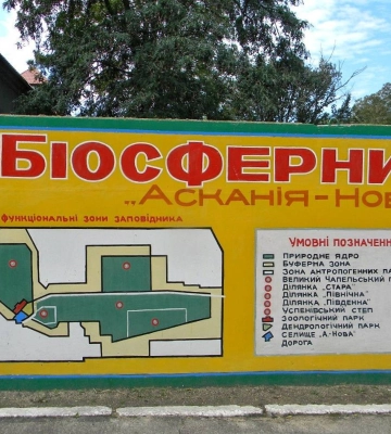 «Асканія-Нова» на Херсонщині протримається на українських запасах до кінця літа