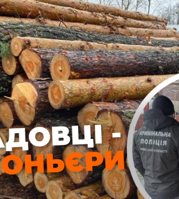 4 млн збитків від нелегальної вирубки деревини: поліція Київщини викрила масштабну схему