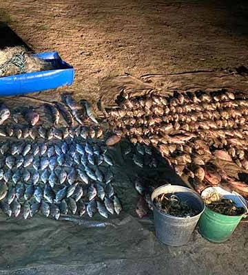 На Полтавщині викрили порушника із незаконним уловом на суму понад мільйон гривень