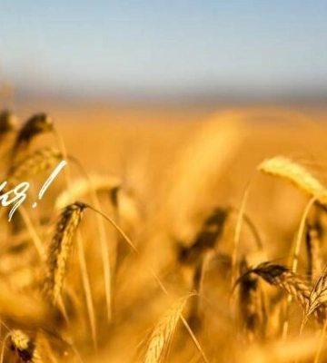 На Дніпропетровщині ніч без атак