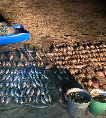 На Полтавщині спіймали браконьєра з уловом на понад мільйон гривень
