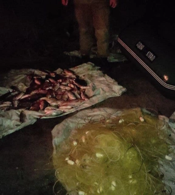На Кіровоградщині браконьєри виловили риби на чверть мільйона гривень 