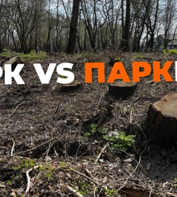 На Оболоні в Києві, на місці де планують паркінг за 120 млн, вночі вирубали 60 дерев