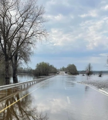Окупанти обстріляли дві громади в Чернігівській області