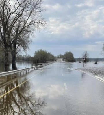 Окупанти обстріляли дві громади в Чернігівській області